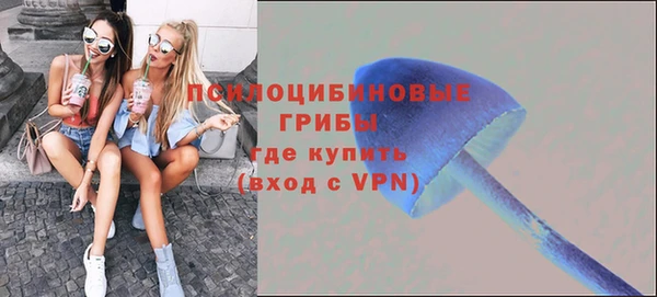 мет Надым