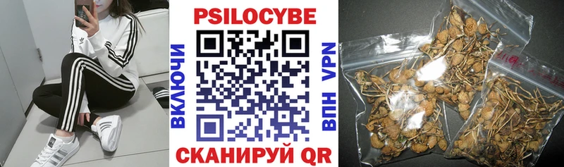 Галлюциногенные грибы Psilocybine cubensis Хвалынск