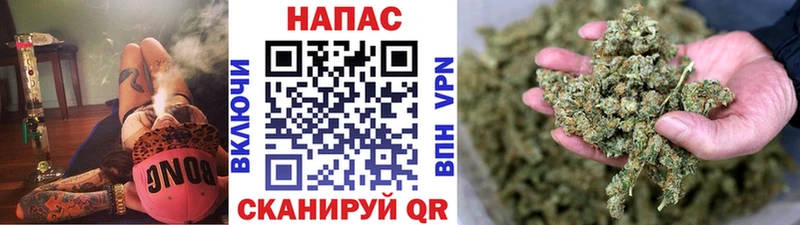 Конопля White Widow где купить наркоту Хвалынск